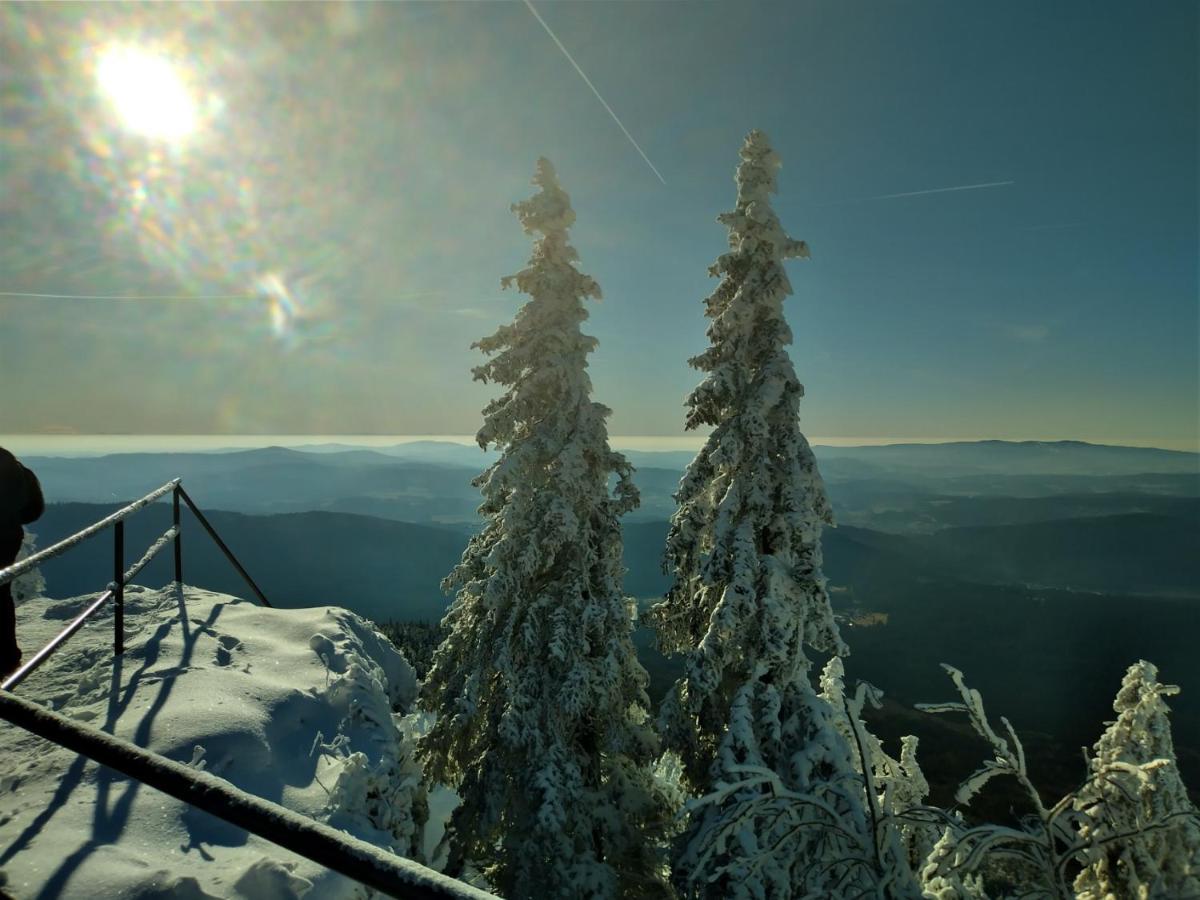 Huettenzauber Ferienwohnung Mitten Im Nationalpark Линдберг Екстериор снимка